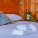 Beautiful Dream Perledo